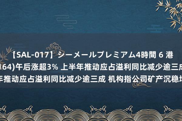 【SAL-017】シーメールプレミアム4時間 6 港股异动 | 中广核矿业(01164)午后涨超3% 上半年推动应占溢利同比减少逾三成 机构指公司矿产沉稳增长