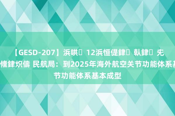 【GESD-207】浜哄12浜恒偍銉倝銉兂銉€銉笺儵銉炽儔 民航局：到2025年海外航空关节功能体系基本成型