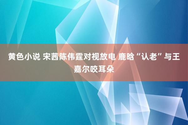 黄色小说 宋茜陈伟霆对视放电 鹿晗“认老”与王嘉尔咬耳朵