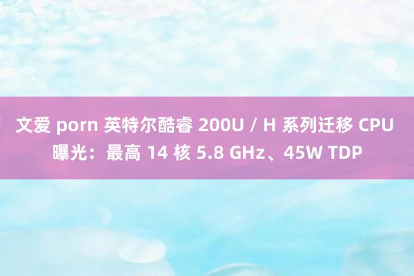 文爱 porn 英特尔酷睿 200U / H 系列迁移 CPU 曝光：最高 14 核 5.8 GHz、45W TDP