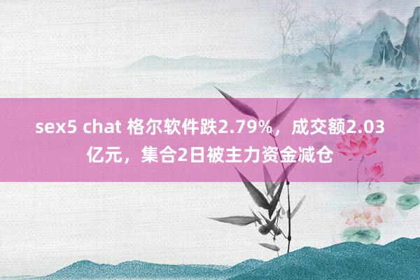 sex5 chat 格尔软件跌2.79%，成交额2.03亿元，集合2日被主力资金减仓