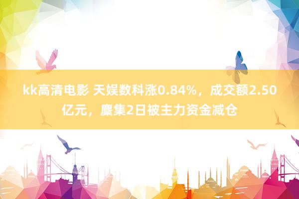 kk高清电影 天娱数科涨0.84%，成交额2.50亿元，麇集2日被主力资金减仓