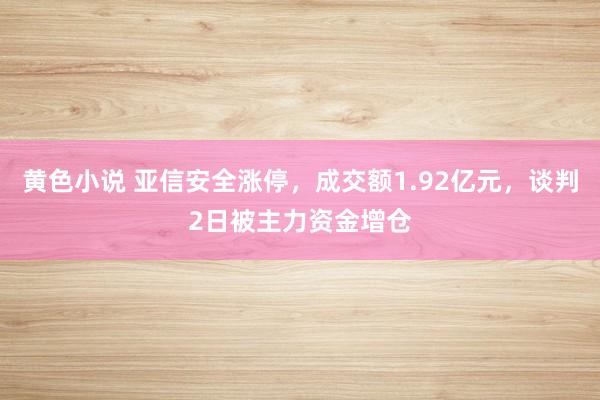 黄色小说 亚信安全涨停，成交额1.92亿元，谈判2日被主力资金增仓