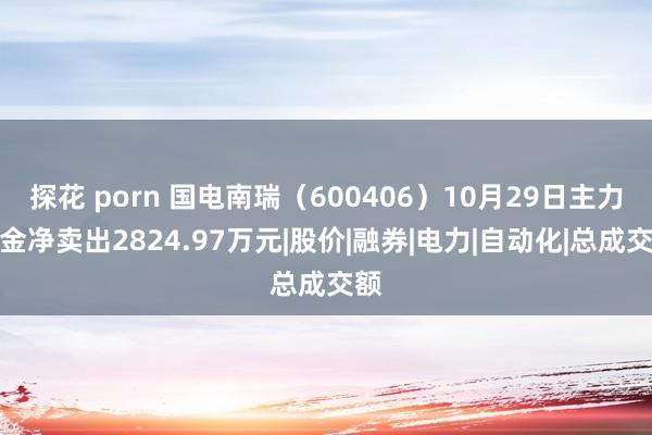 探花 porn 国电南瑞（600406）10月29日主力资金净卖出2824.97万元|股价|融券|电力|自动化|总成交额