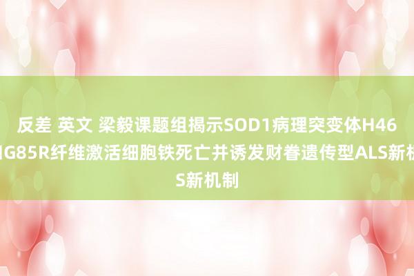 反差 英文 梁毅课题组揭示SOD1病理突变体H46R和G85R纤维激活细胞铁死亡并诱发财眷遗传型ALS新机制