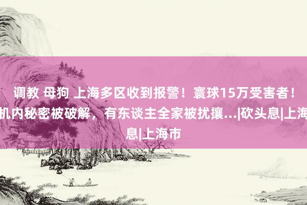 调教 母狗 上海多区收到报警！寰球15万受害者！手机内秘密被破解，有东谈主全家被扰攘...|砍头息|上海市