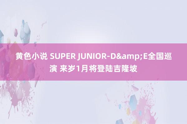 黄色小说 SUPER JUNIOR-D&E全国巡演 来岁1月将登陆吉隆坡