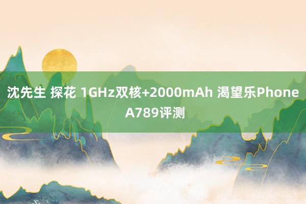 沈先生 探花 1GHz双核+2000mAh 渴望乐Phone A789评测