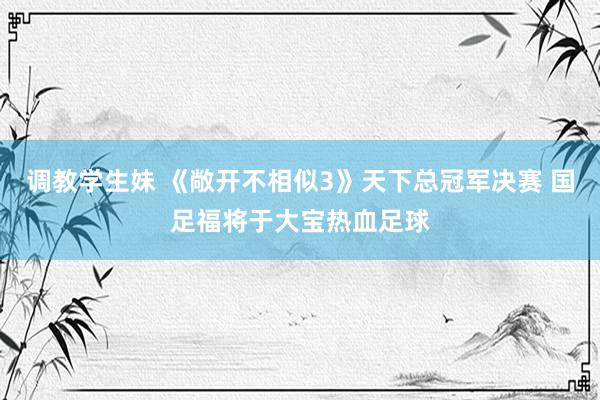 调教学生妹 《敞开不相似3》天下总冠军决赛 国足福将于大宝热血足球