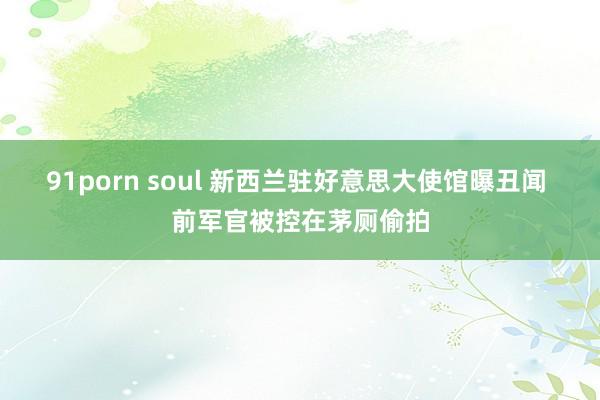 91porn soul 新西兰驻好意思大使馆曝丑闻 前军官被控在茅厕偷拍