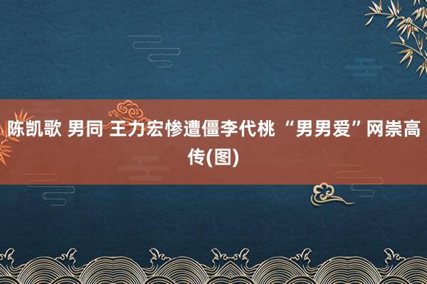 陈凯歌 男同 王力宏惨遭僵李代桃 “男男爱”网崇高传(图)