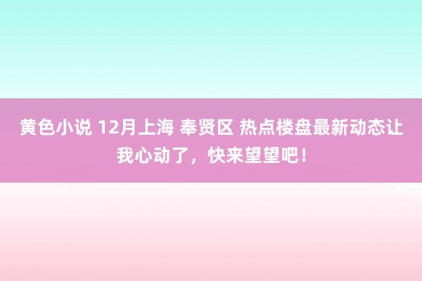 黄色小说 12月上海 奉贤区 热点楼盘最新动态让我心动了，快来望望吧！