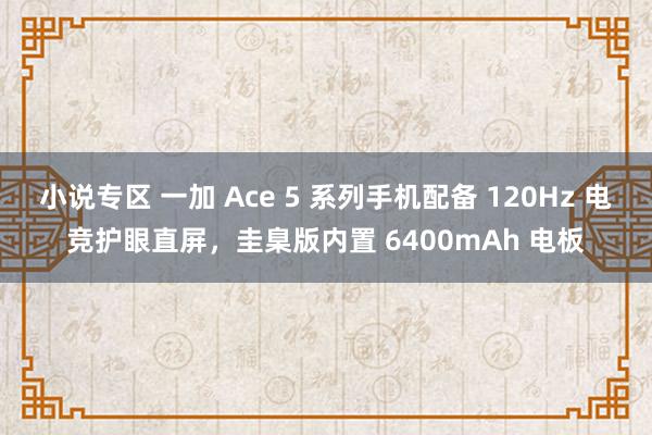 小说专区 一加 Ace 5 系列手机配备 120Hz 电竞护眼直屏，圭臬版内置 6400mAh 电板