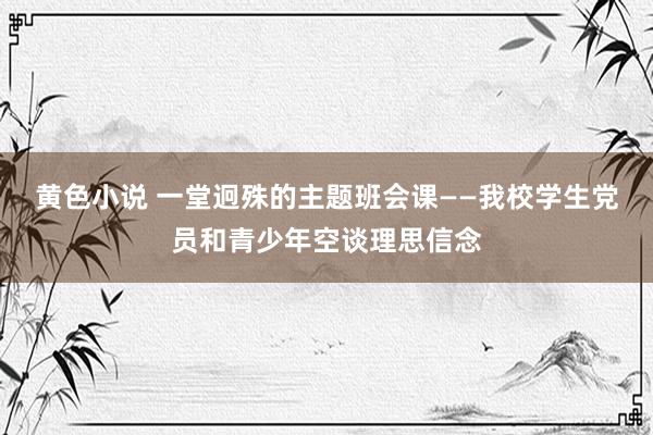 黄色小说 一堂迥殊的主题班会课——我校学生党员和青少年空谈理思信念